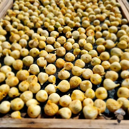 别墅 Zurnata Bogomolje