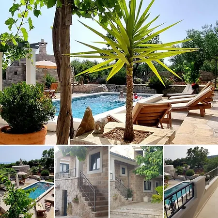 Vila Zurnata