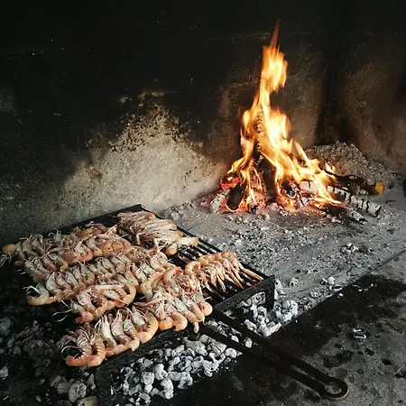 Zurnata Vila Bogomolje